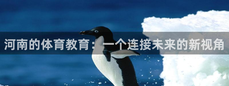 河南的体育教育：一个连接未来的新视角