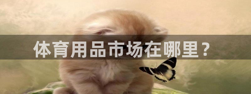 体育用品市场在哪里？