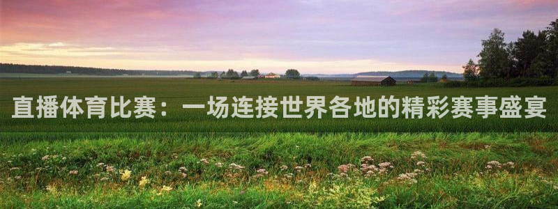 直播体育比赛：一场连接世界各地的精彩赛事盛宴