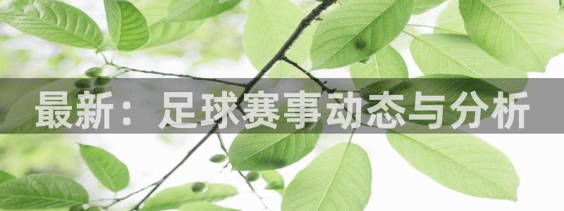 蚂蚁阅读app官网