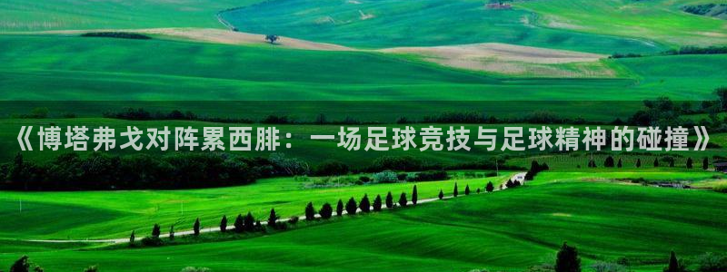 蚂蚁体育直播下载