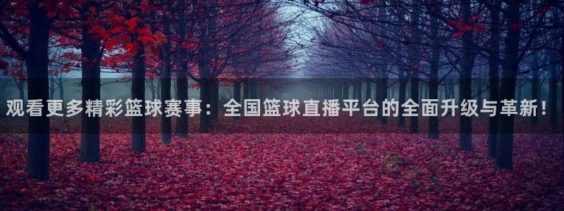 蚂蚁聊天app下载最新版