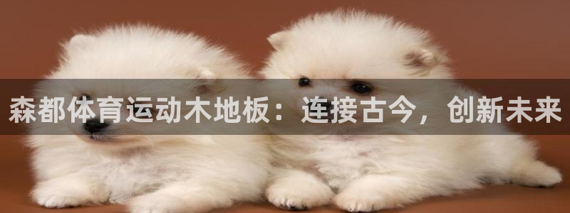 蚂蚁app官网下载